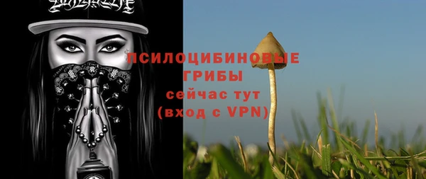 гидра Верхнеуральск