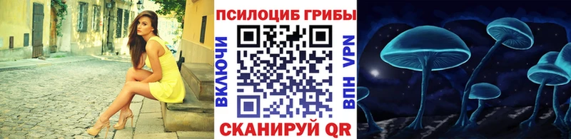 Галлюциногенные грибы Cubensis  как найти наркотики  Гаврилов-Ям 
